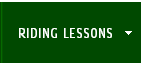 RIDING LESSONS